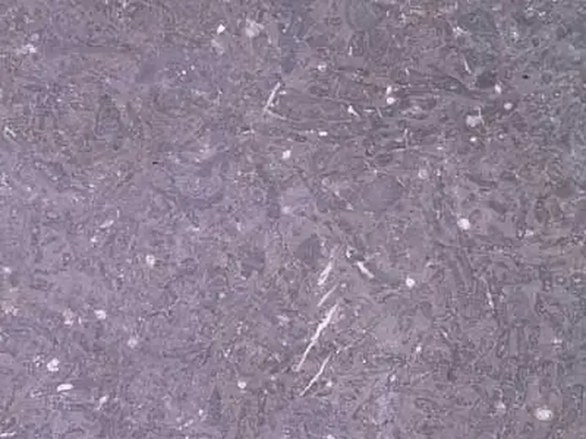 Aachener Blaustein calcaire, échantillon poli – Marmi di Carrara – gris (1)