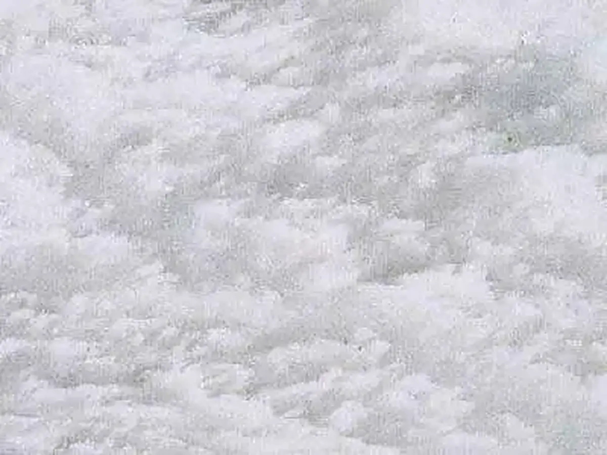 Aghia Marina Semi White marbre, échantillon poli – Marmi di Carrara – gris clair, ivoire (1)