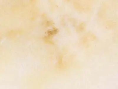 Alabastro Beni Suef marble