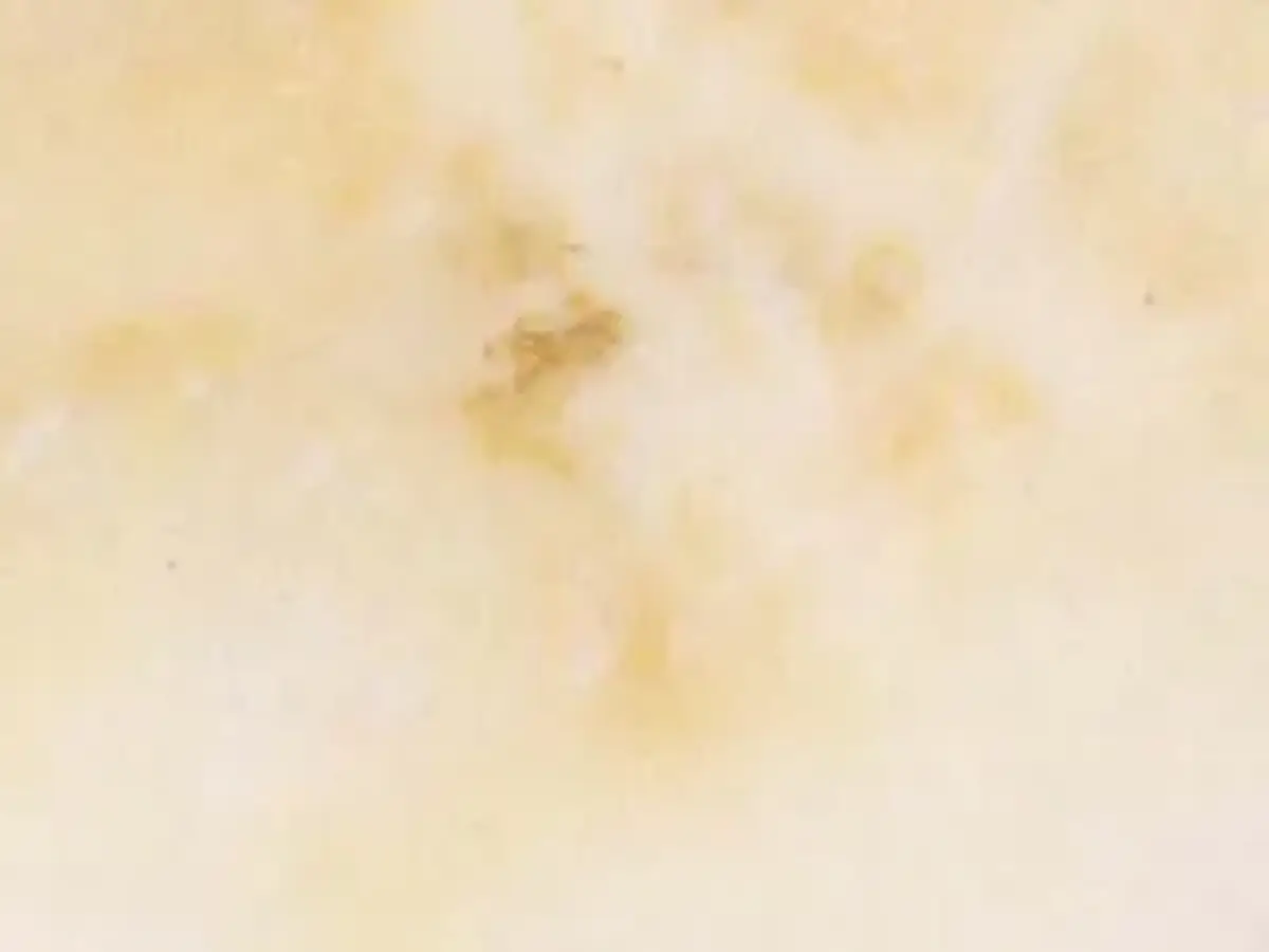Alabastro Beni Suef marmo, campione lucido – Marmi di Carrara – avorio, beige (1)