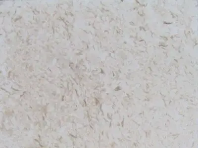 Amelas Fossil calcare