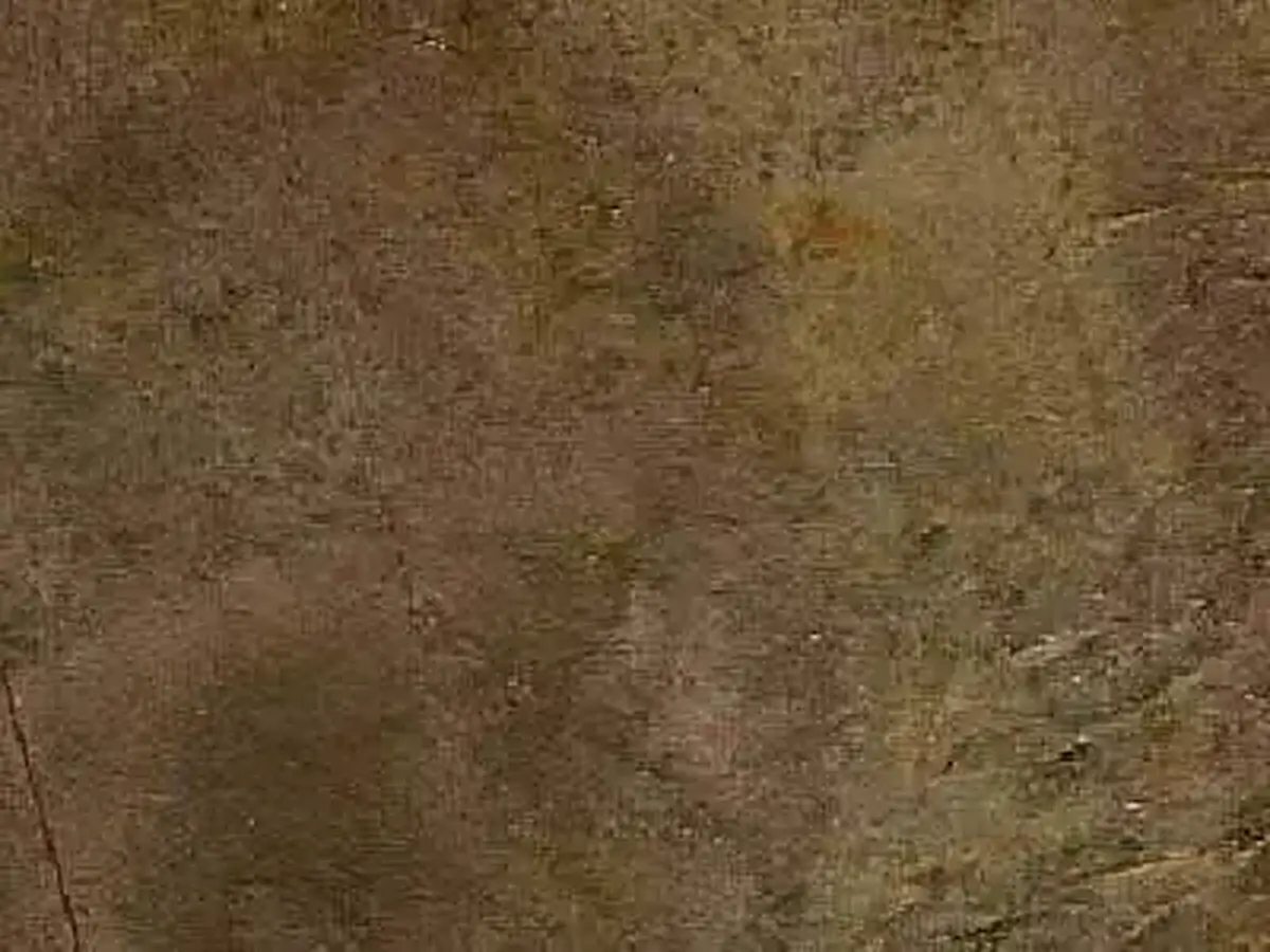 American Gold slate polished sample – Marmi di Carrara – brown (1)