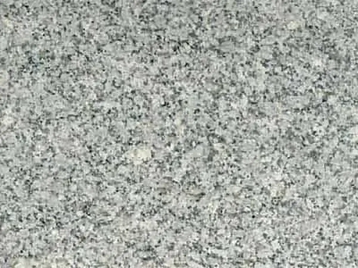Anemone Light granito, muestra pulida – Marmi di Carrara – gris claro, gris (1)