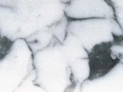 Arabescato Corchia marbre, échantillon poli – Marmi di Carrara – blanc, ivoire (25)