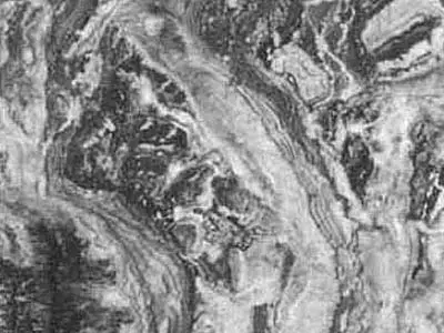 Arabescato Orobico Grigio limestone