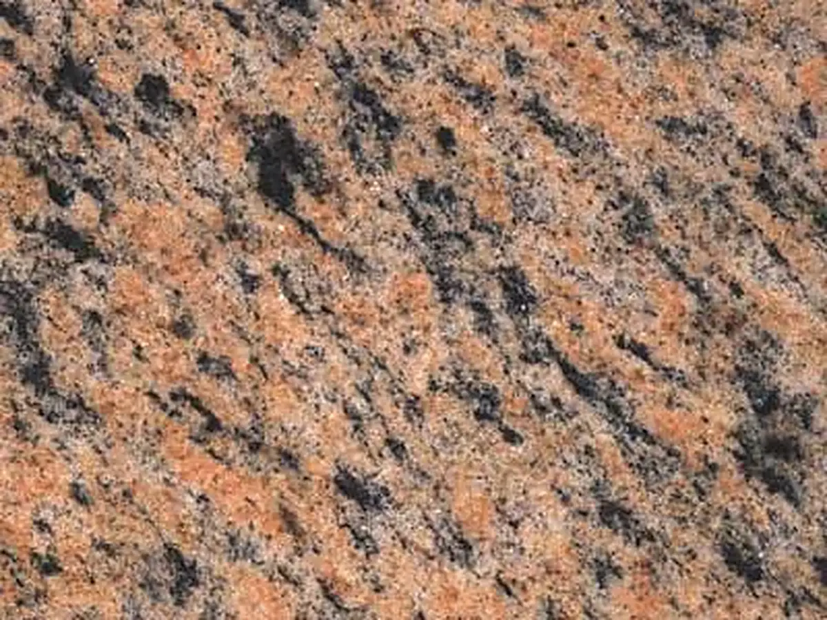 Arctic Pink гранит, полированный образец – Marmi di Carrara – золотистый, серый (1)