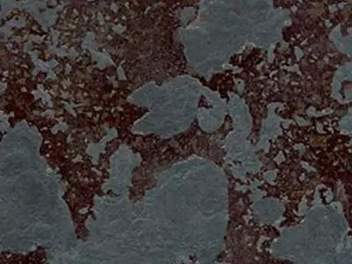 Ardesia Multicor slate polished sample – Marmi di Carrara – charcoal, black (1)