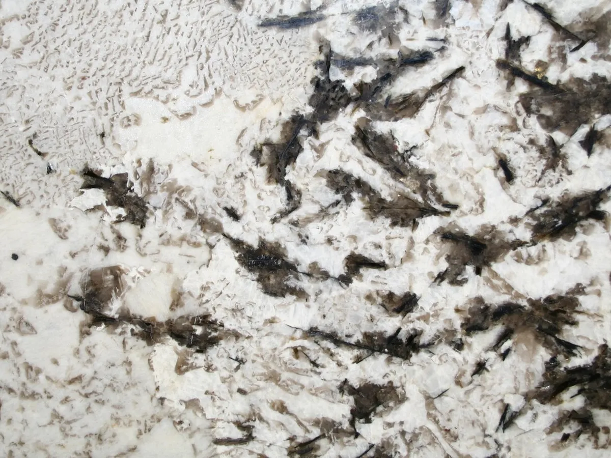 Aspen White marmo, superficie di lastra – Marmi di Carrara – grigio chiaro, verde (3)