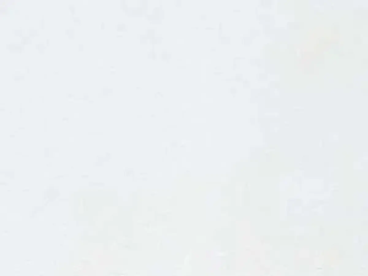 Baoxing White marble polished sample – Marmi di Carrara – white (1)