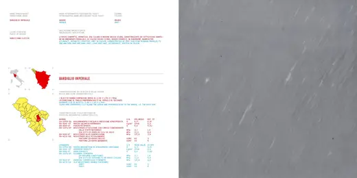 Bardiglio Imperiale mármol, superficie de losa – Marmi di Carrara – gris, blanco (3)