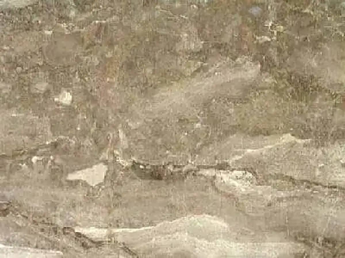 Beige-banded of Karnezeika caliza, muestra pulida – Marmi di Carrara – gris, beige (1)