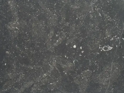 Belgian Blue Stone marmo