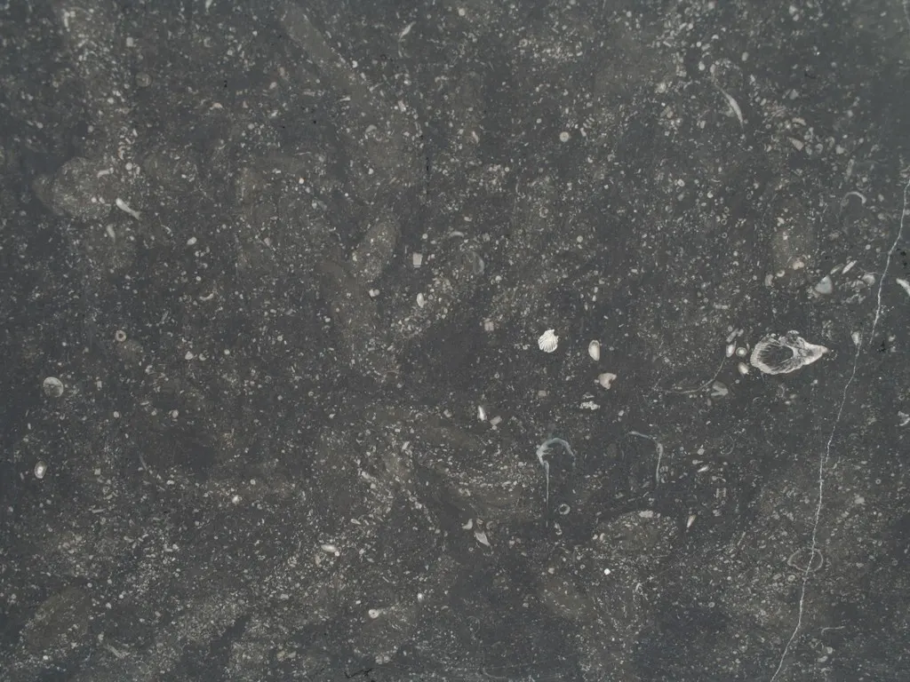 Belgian Blue Stone mármol, superficie de losa – Marmi di Carrara – antracita, verde (1)