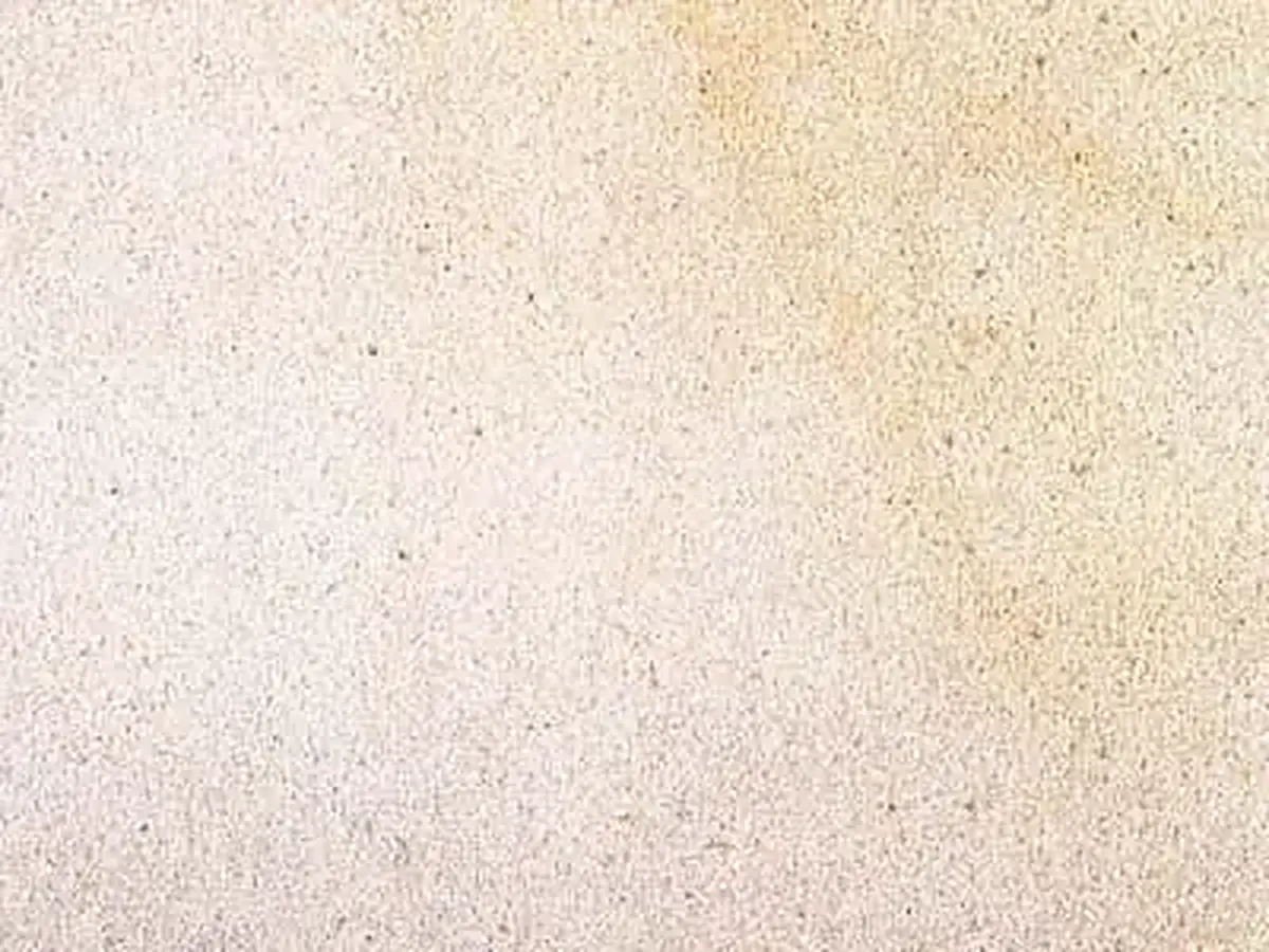 Bentheim arenisca, muestra pulida – Marmi di Carrara – marfil, blanco (1)