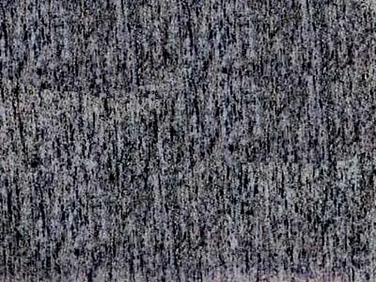 Beola Grigia granite polished sample – Marmi di Carrara – charcoal, green (1)