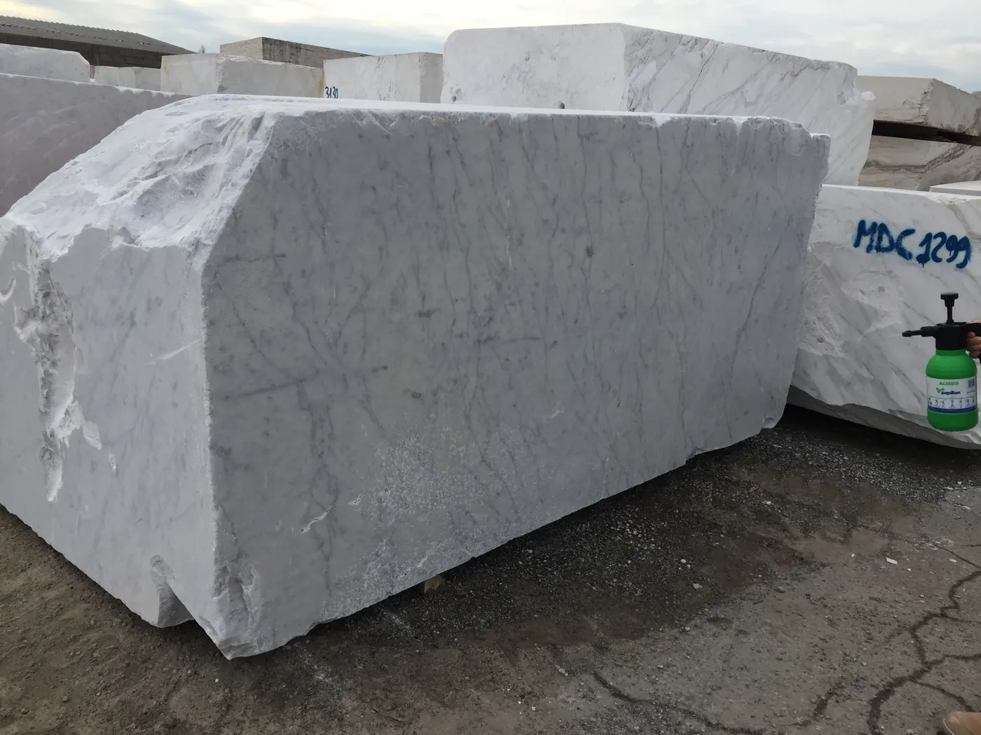 Bianco Carrara Marmor, Plattenoberfläche – Marmi di Carrara – grau, grün (78)
