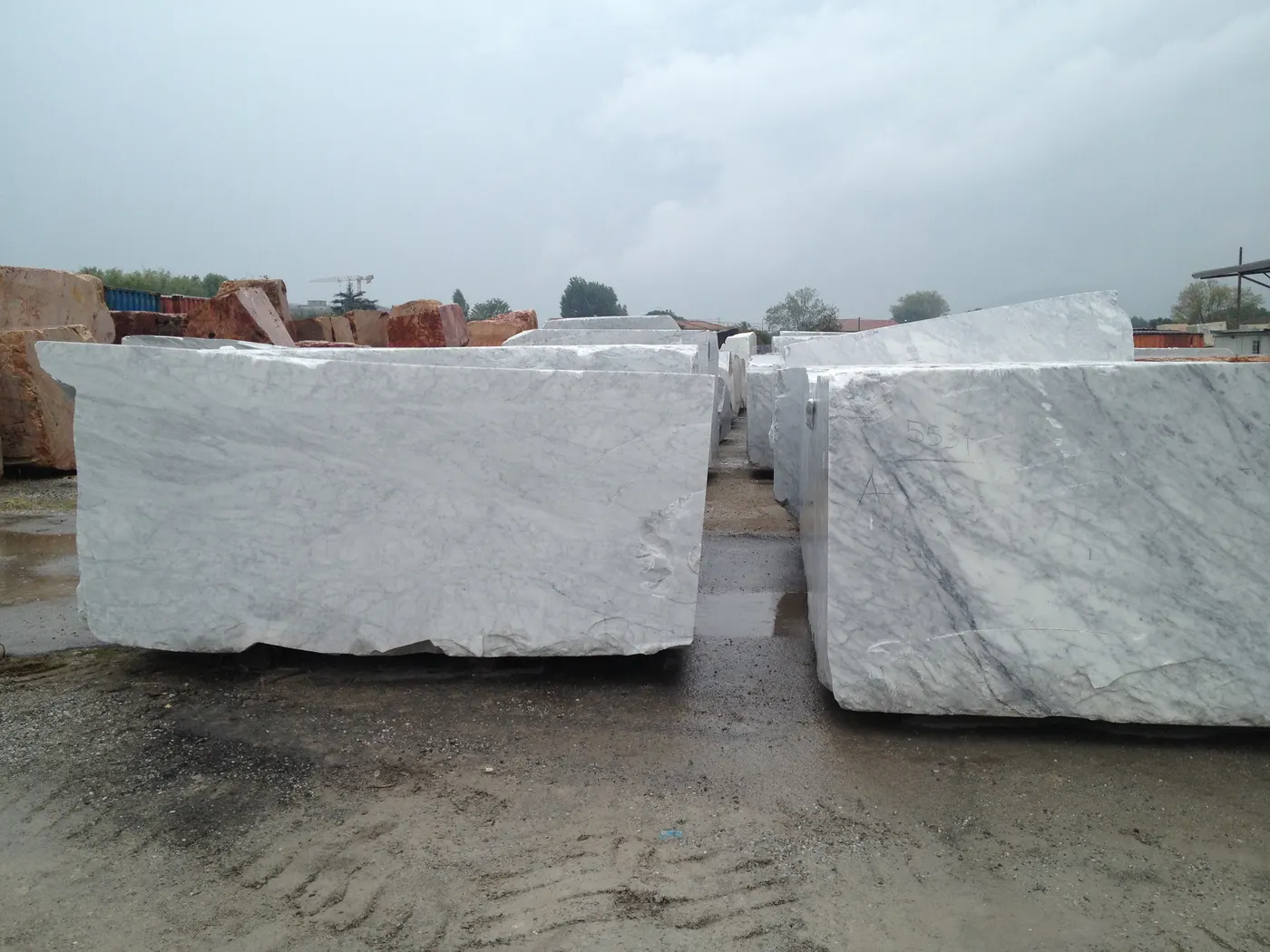 Bianco Carrara CD marbre, surface de dalle – Marmi di Carrara – gris clair, gris (13)