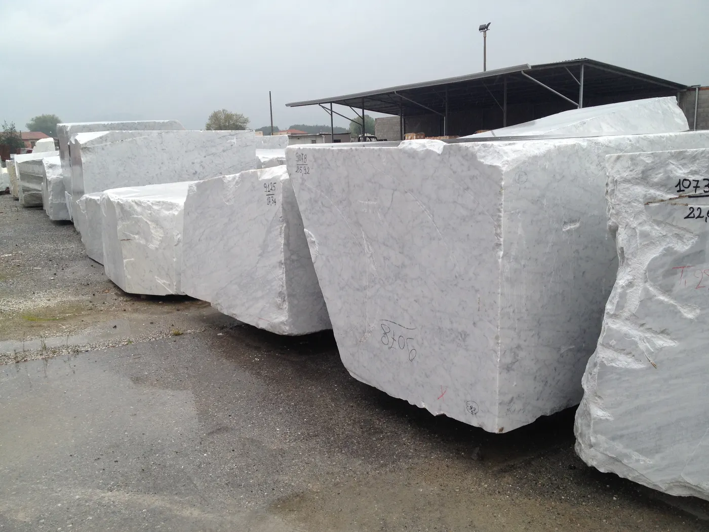 Bianco Carrara CD marmo, superficie di lastra – Marmi di Carrara – grigio chiaro, grigio (7)