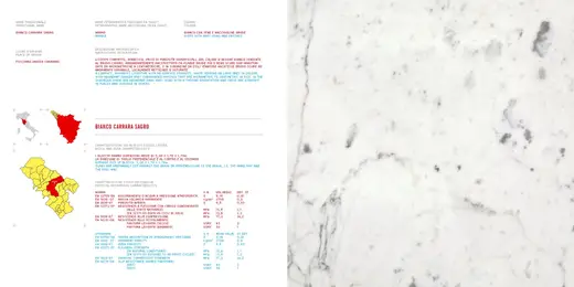 Bianco Carrara CD marble slab surface – Marmi di Carrara – white, ivory (72)
