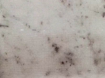 Bianco Carrara D marble polished sample – Marmi di Carrara – light grey, beige (1)