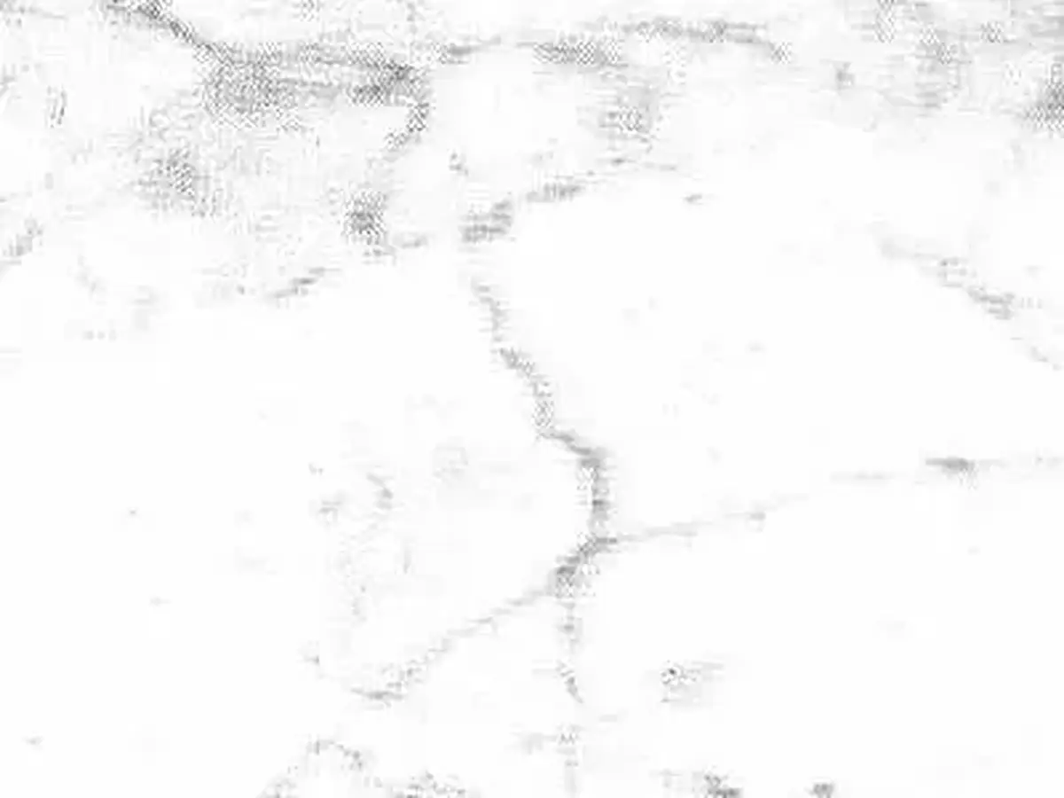 Bianco Carrara Venato Gioia mármol, muestra pulida – Marmi di Carrara – blanco (1)