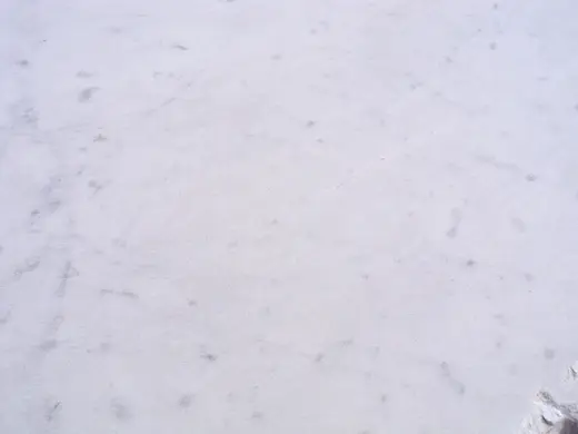 Bianco Gioia marmo, superficie di lastra – Marmi di Carrara – avorio, bianco (62)