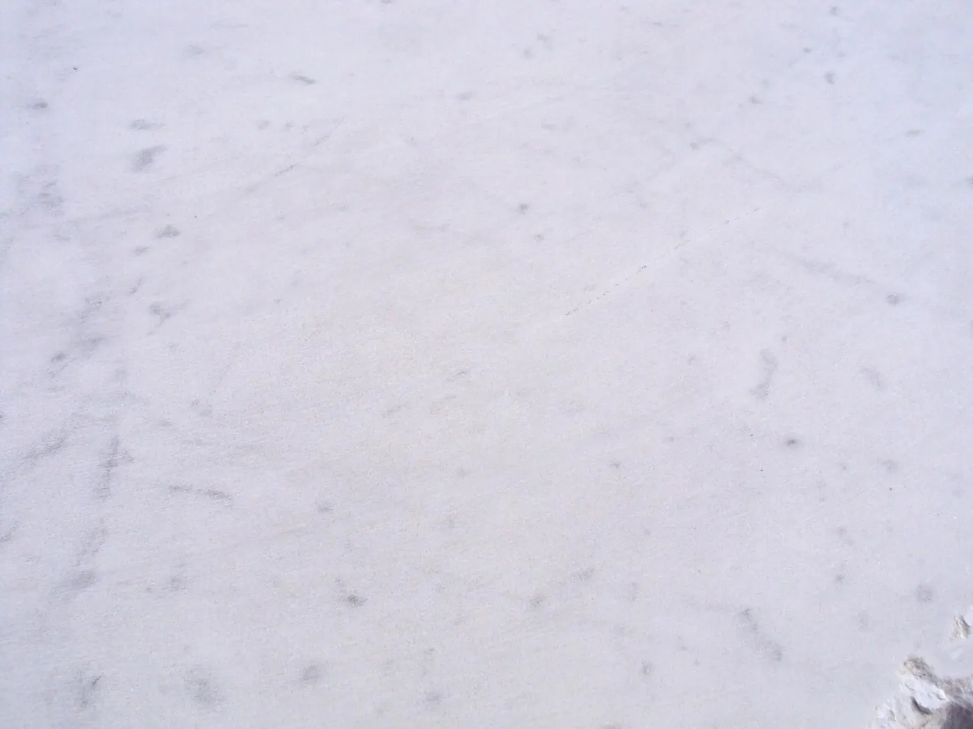 Bianco Gioia marmo, superficie di lastra – Marmi di Carrara – avorio, bianco (62)