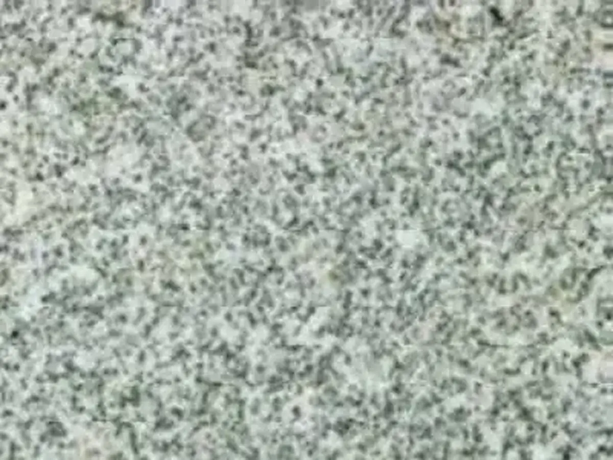 Bianco Grigio G 3503 granito, campione lucido – Marmi di Carrara – grigio chiaro, grigio (1)
