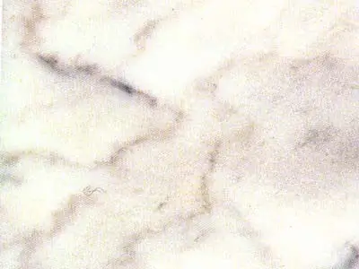 Bianco Hu Zhou M 078 mármol, muestra pulida – Marmi di Carrara – blanco, marfil (1)