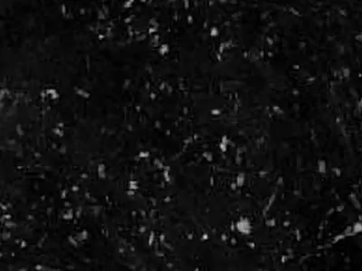 Black Porphyry Schiefer, polierte Probe – Marmi di Carrara – schwarz (1)