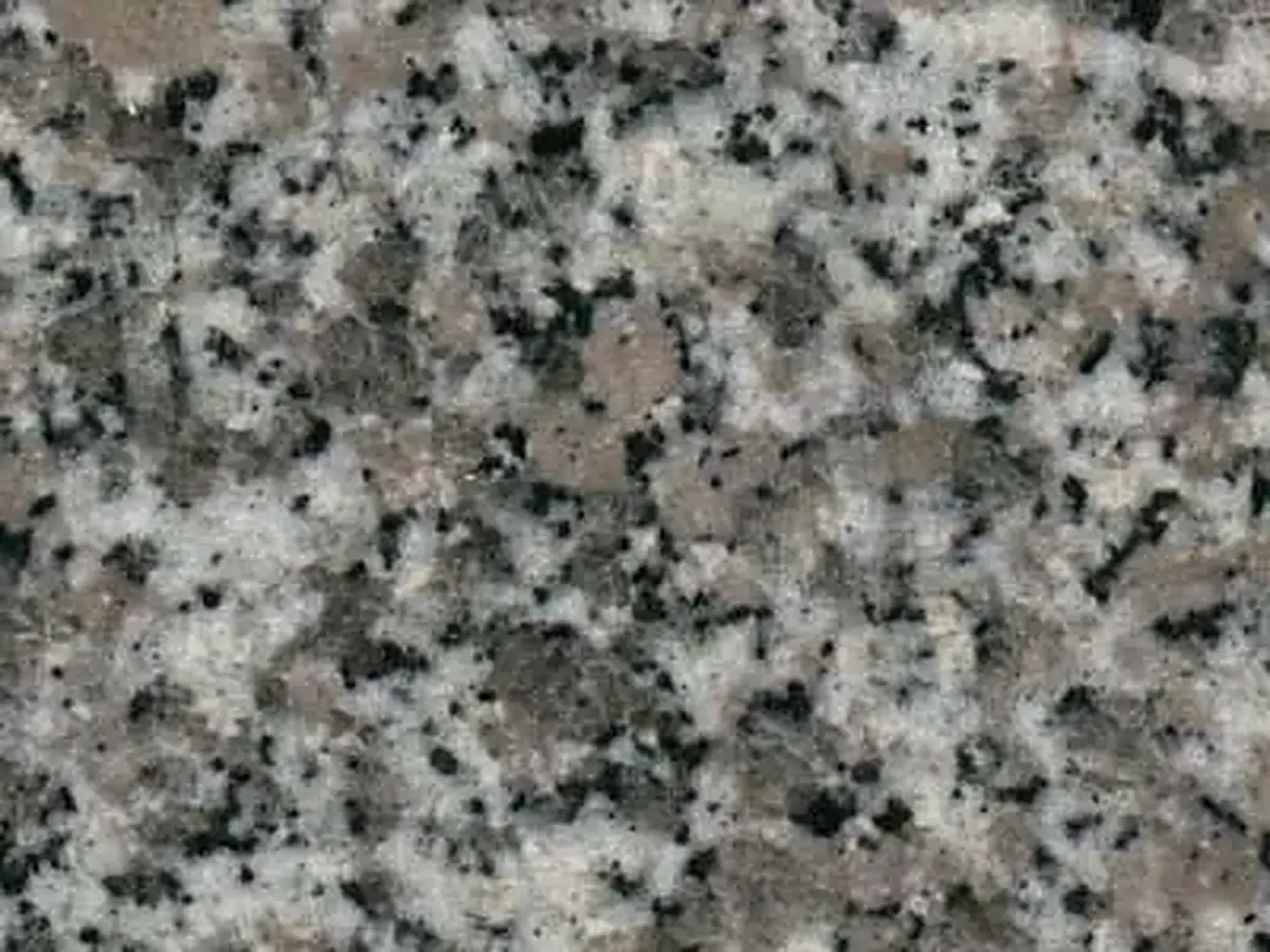 Blanco Acapulco Granit, polierte Probe – Marmi di Carrara – grau, grün (1)