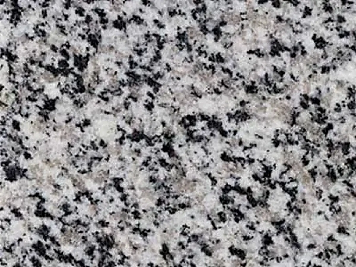 Branco Dalmata granito, muestra pulida – Marmi di Carrara – gris, gris claro (1)