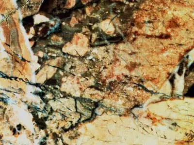 Breccia Aurora breccia polished sample – Marmi di Carrara – beige, gold (2)