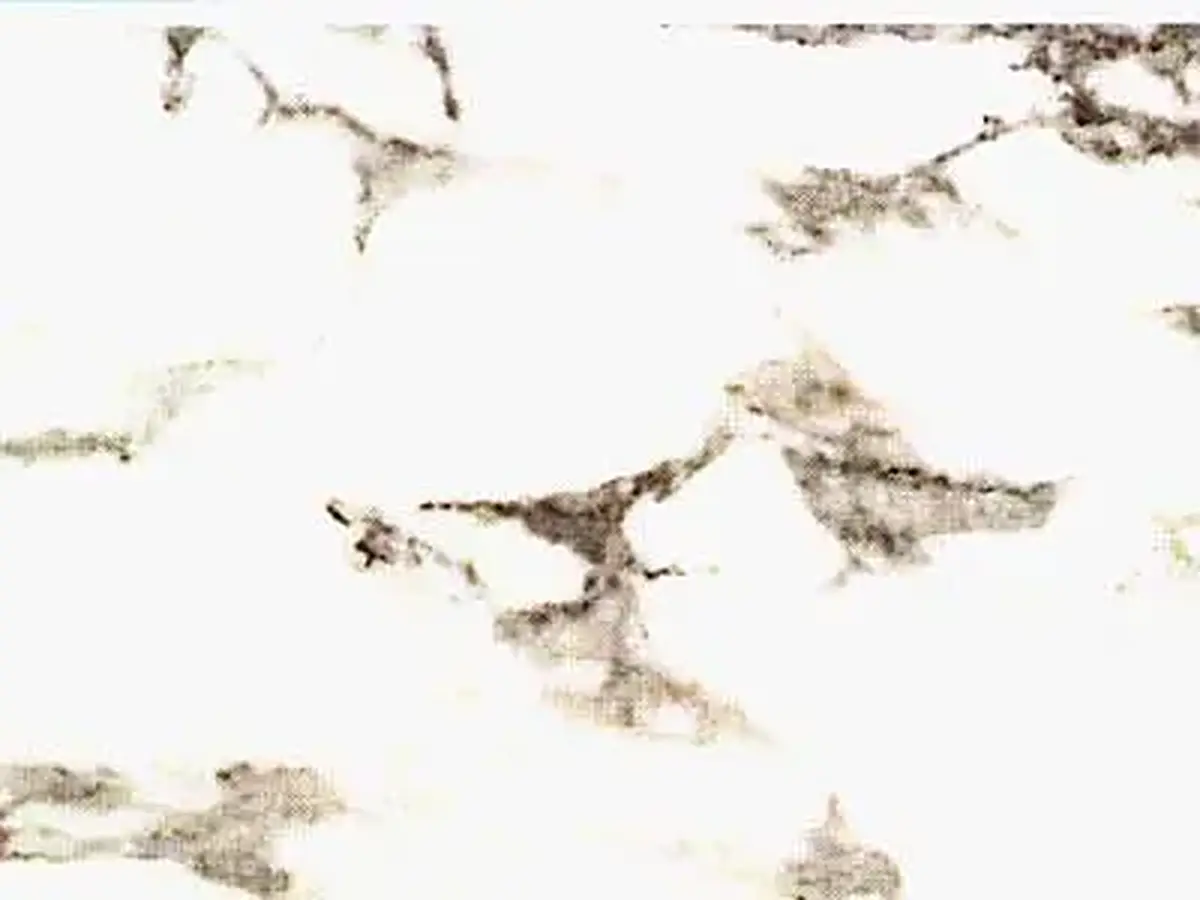 Marmi di Carrara Srl - Since 1956 Italian Marbles , Granite Onyx marbre, échantillon poli – Marmi di Carrara – blanc, ivoire (1)