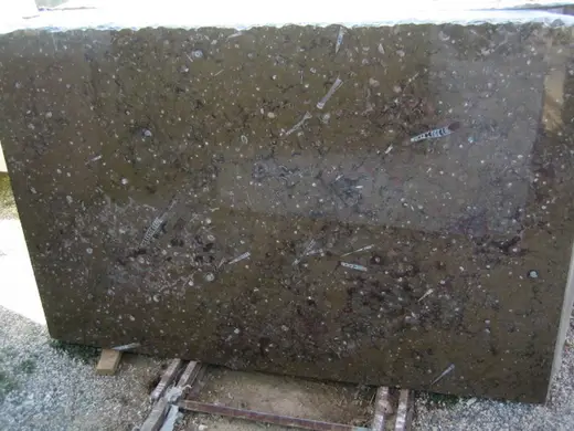 Brown Fossile мрамор, поверхность плиты – Marmi di Carrara – антрацитовый, зелёный (1)