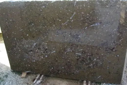 Brown Fossile мрамор, поверхность плиты – Marmi di Carrara – антрацитовый, зелёный (2)