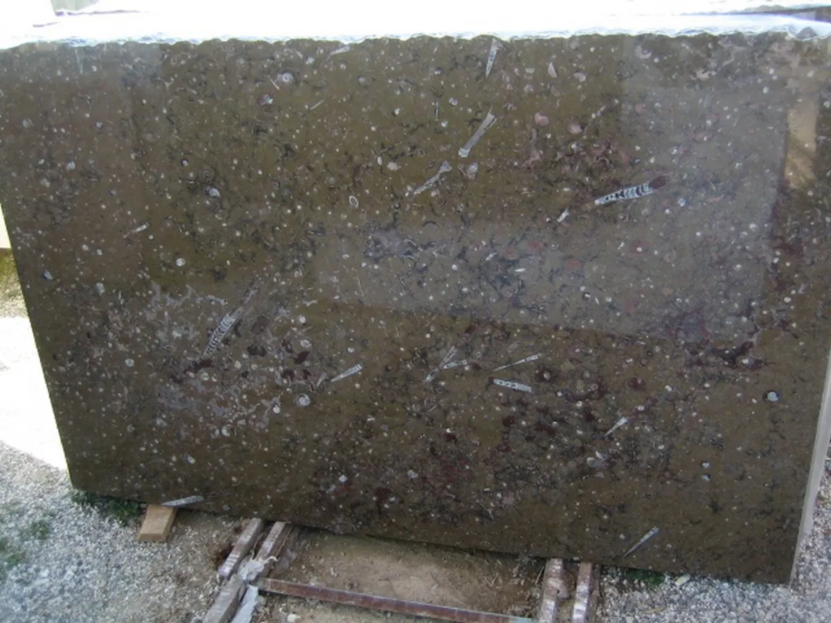 Brown Fossile marble slab surface – Marmi di Carrara – charcoal, green (2)