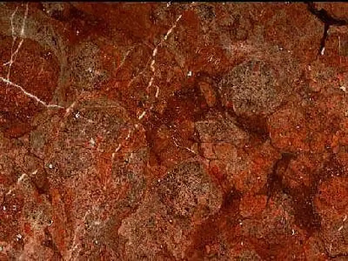 Brown-Red of Fanari calcare, campione lucido – Marmi di Carrara – rosso ruggine, marrone (1)