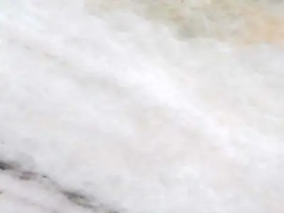 C 251 marmo, campione lucido – Marmi di Carrara – bianco, grigio chiaro (1)