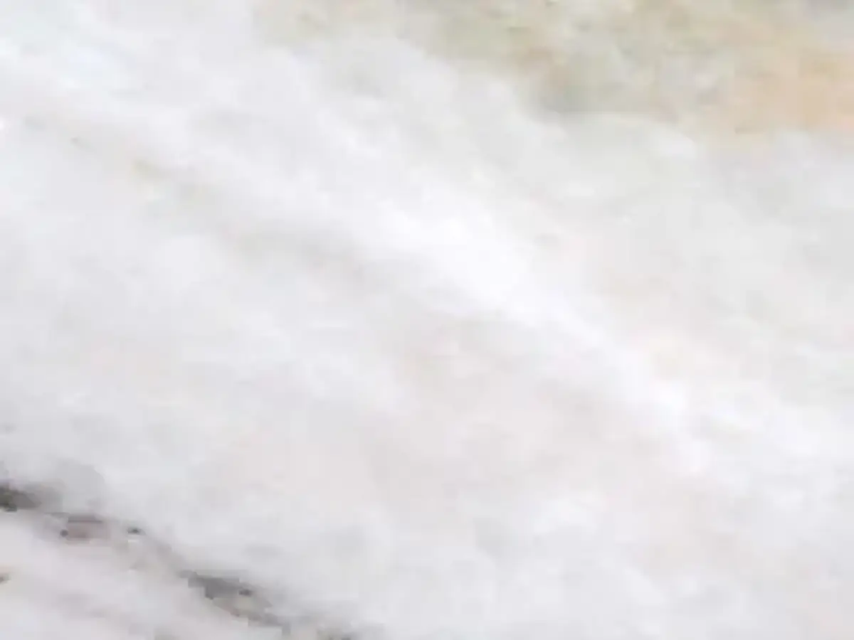 C 251 marmo, campione lucido – Marmi di Carrara – bianco, grigio chiaro (1)