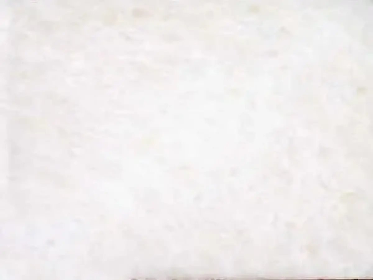 C 252 marble polished sample – Marmi di Carrara – white (1)