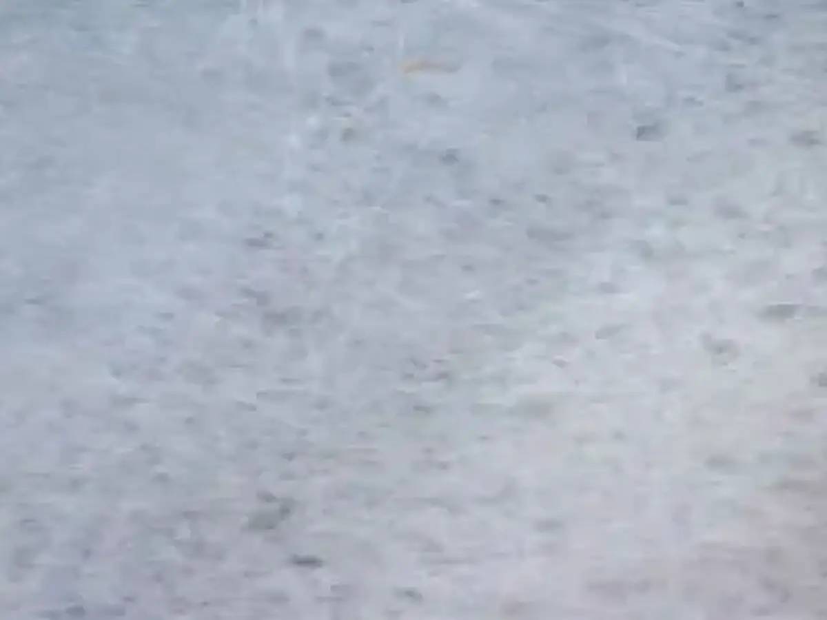 C 255 marbre, échantillon poli – Marmi di Carrara – gris clair (1)