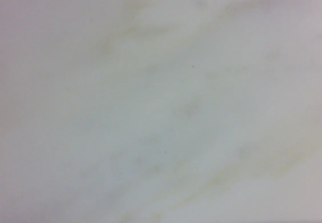 Calacatta mármol, molduras y rodapiés – Marmi di Carrara – gris claro, gris (55)