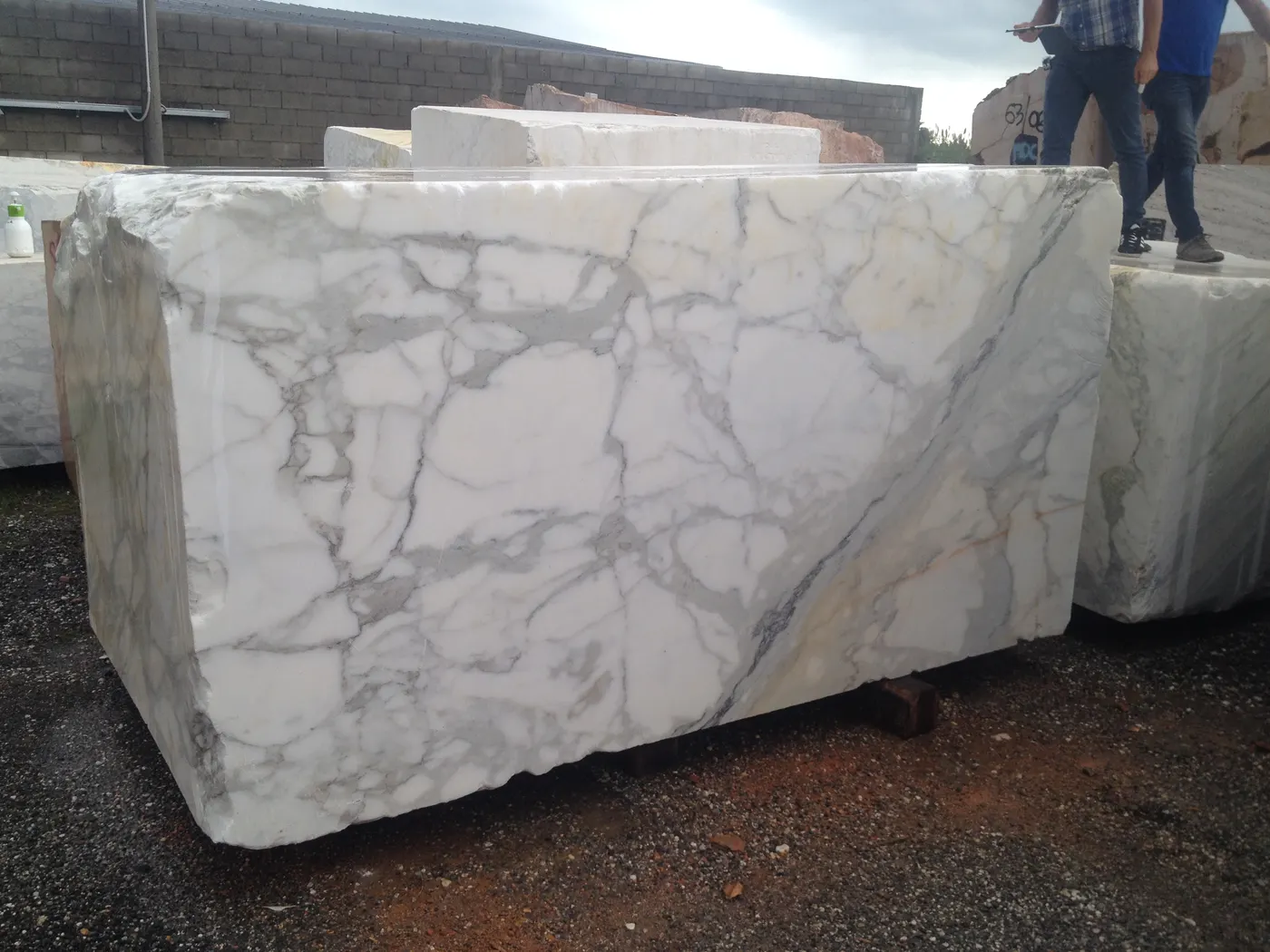 Calacatta Gold marmo, superficie di lastra – Marmi di Carrara – grigio chiaro, nero (7)