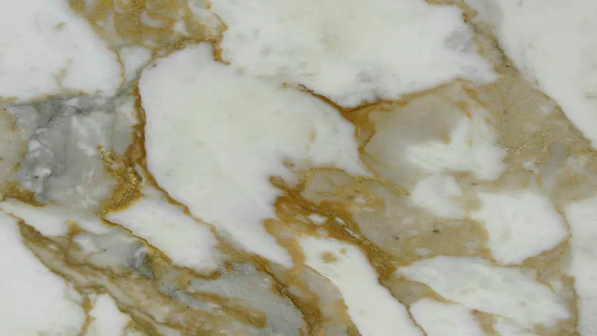 Calacatta Vagli marmo, superficie di lastra – Marmi di Carrara – grigio chiaro, grigio (6)