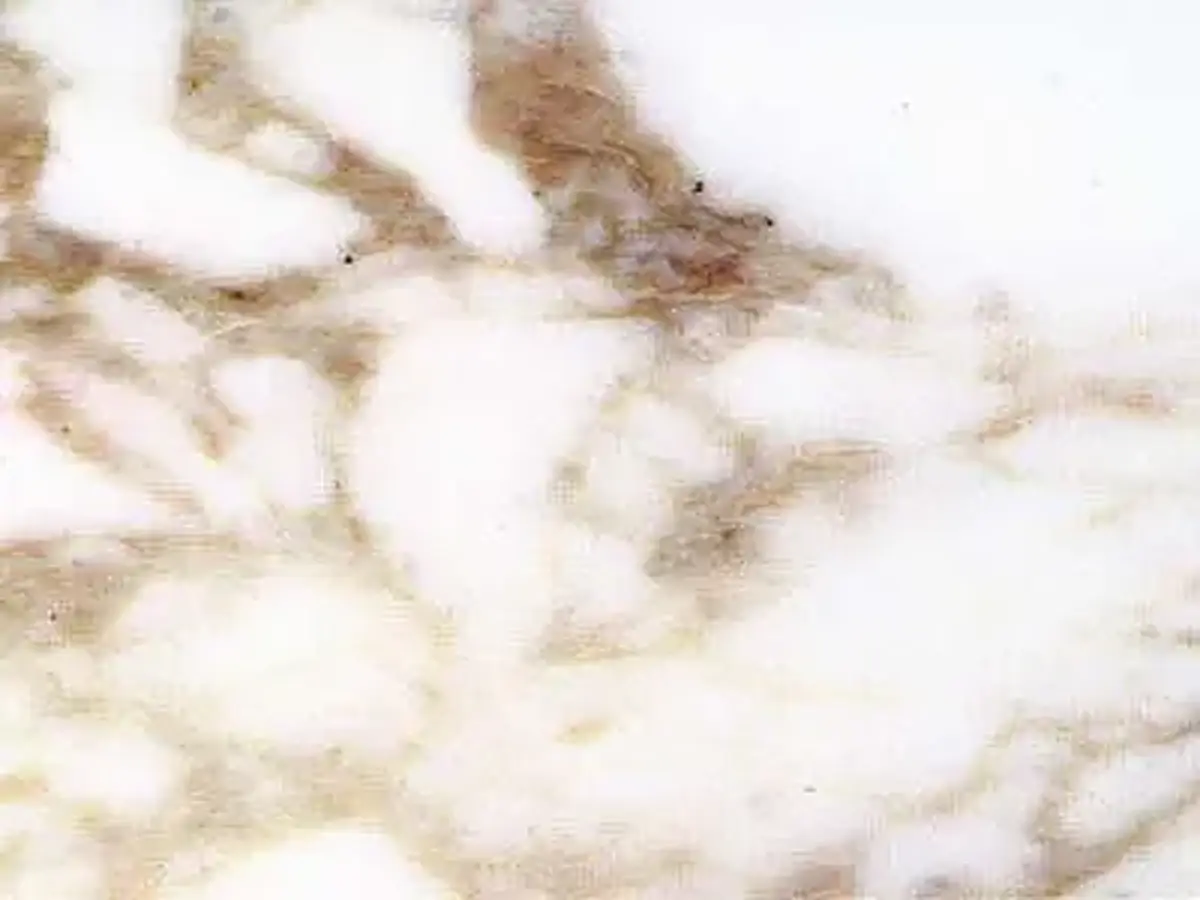 Calacatta Vagli marble polished sample – Marmi di Carrara – white, ivory (9)
