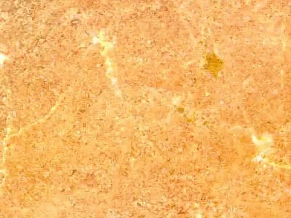 Caliza Zarci Rosa calcare, campione lucido – Marmi di Carrara – beige, oro (1)