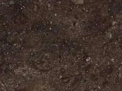 Champlain Black Marble caliza, muestra pulida – Marmi di Carrara – antracita, negro (1)