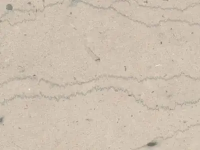 Chanteuil Blanc limestone polished sample – Marmi di Carrara – light grey, beige (1)