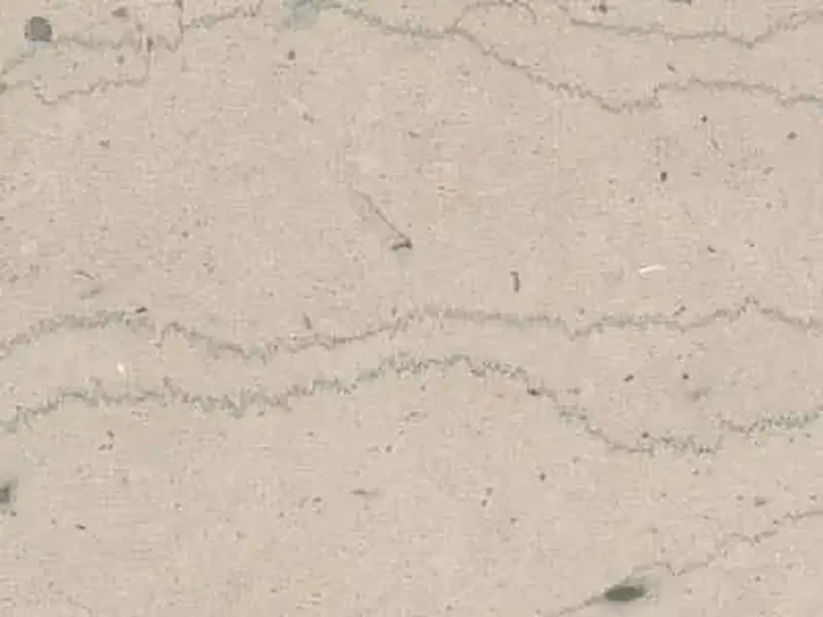 Chanteuil Blanc известняк, полированный образец – Marmi di Carrara – светло-серый, бежевый (1)